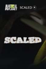 Watch Scaled 0123movies