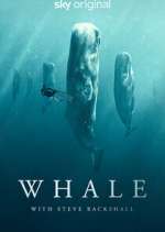 Watch Whale with Steve Backshall 0123movies