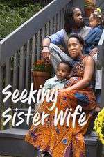 Seeking Sister Wife 0123movies