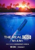 Watch The Real CSI: Miami 0123movies