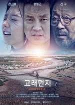 Watch Ambergris 0123movies