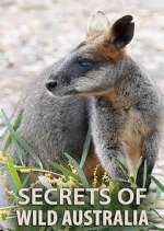 Watch Secrets of Wild Australia 0123movies