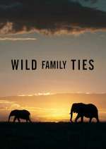 Watch Wild Family Ties 0123movies