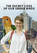 Watch The Secret Lives of Our Urban Birds 0123movies