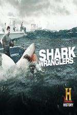 Watch Shark Wranglers 0123movies