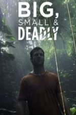 Watch Big, Small & Deadly 0123movies