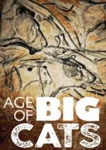 Watch Age of Big Cats 0123movies