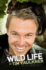 Watch The Wild Life of Tim Faulkner 0123movies