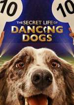 Watch The Secret Life of Dancing Dogs 0123movies