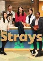 Watch Strays 0123movies