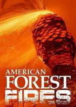 Watch American Forest Fires: The Untold Story 0123movies