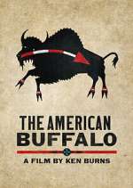 Watch The American Buffalo 0123movies